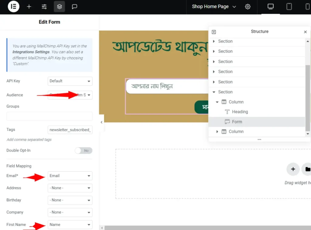 MailChimp Settings Configuration in Form Element Settings